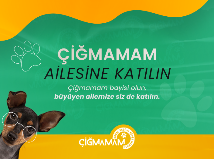Karlılığı yüksek, güvenilir bir iş modeliyle siz de Çiğmamam bayisi olun.