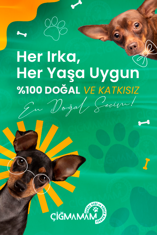 Çiğmamam BARF Mama, Köpek Çiğmamalar , Kedi Çiğmamalar