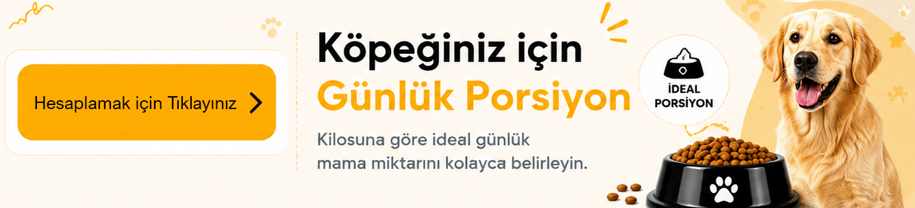 Günlük porsiyon hesaplama aracını aç