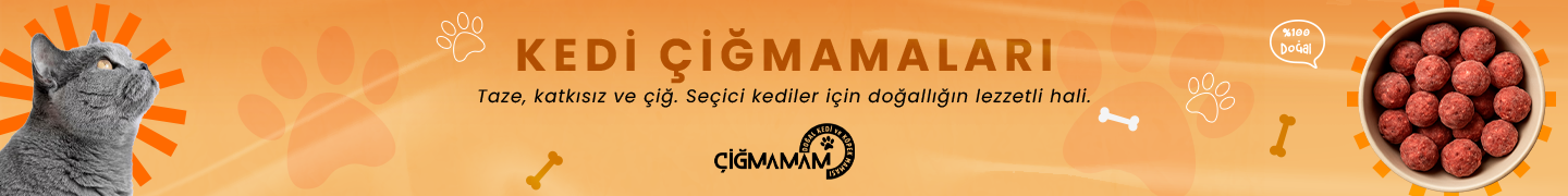 Kedi Çiğmamalar