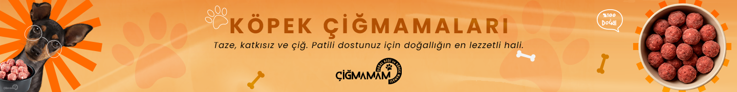 Köpek Çiğmamalar 