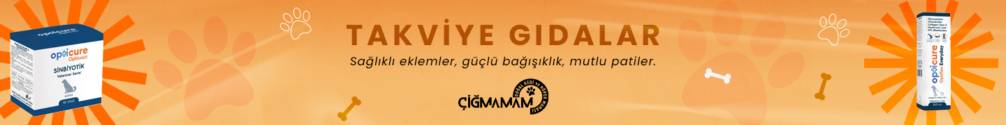 Takviye Gıdalar