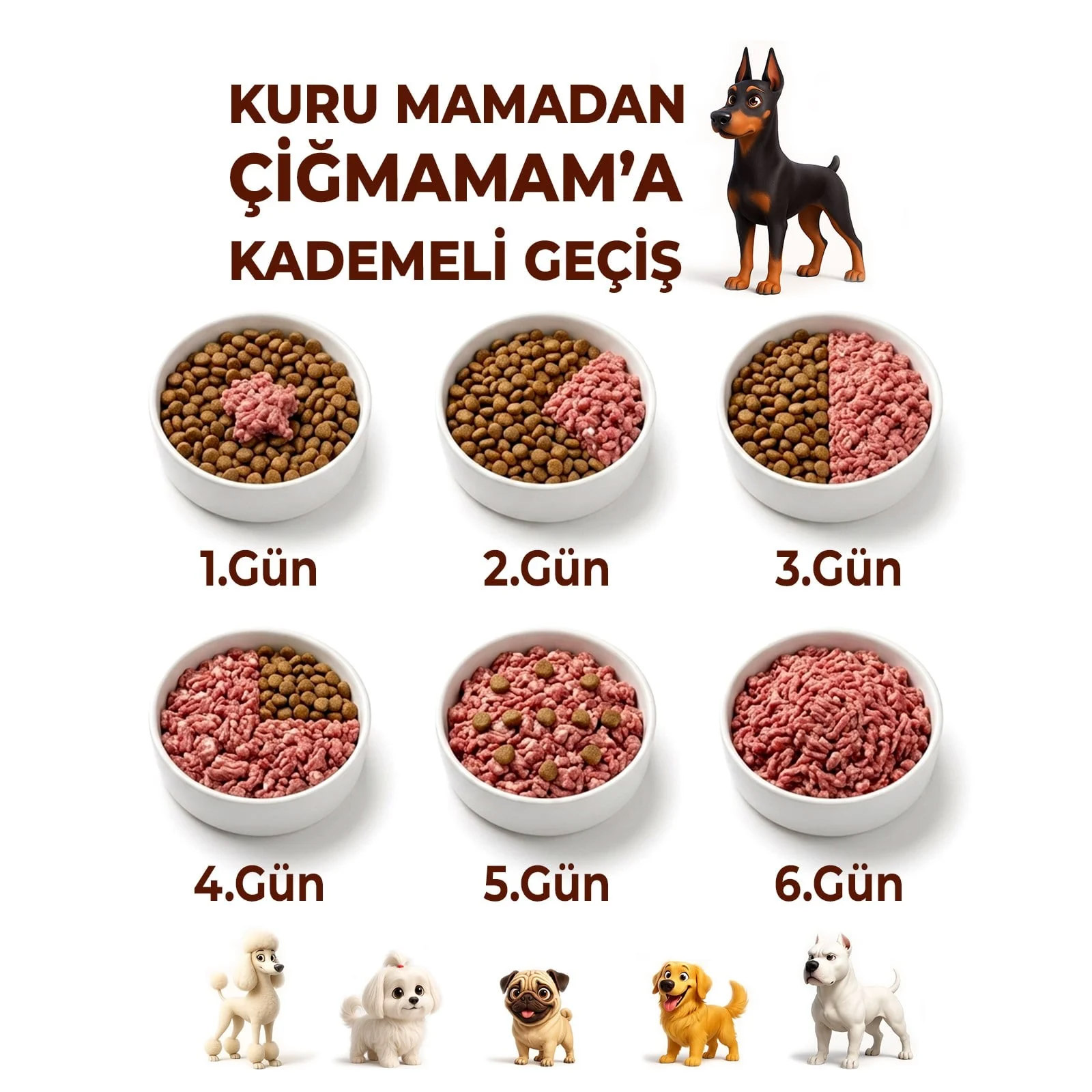 Kırmızı ve Beyaz Etli BARF Köpek Maması 20 Kg - 1000 Gr'lık - -