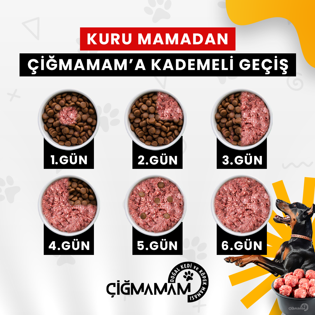 Kırmızı ve Beyaz Etli BARF Köpek Maması 8 Kg - 500 Gr'lık - Kırmızı ve Beyaz Etli Çiğmama Mama Geçiş Süreci